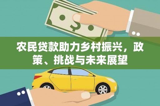 龙文农民贷款助力乡村振兴，政策、挑战与未来展望