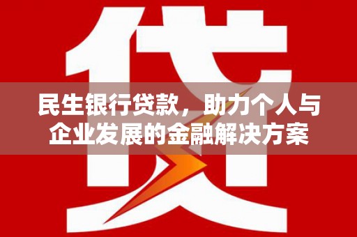 龙文民生银行贷款，助力个人与企业发展的金融解决方案