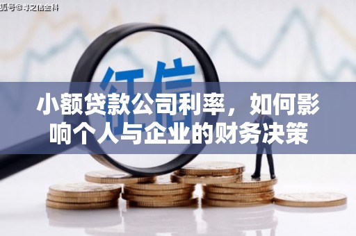 龙文小额贷款公司利率，如何影响个人与企业的财务决策