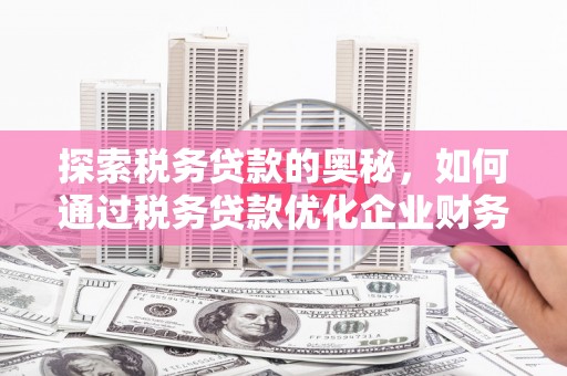龙文探索税务贷款的奥秘，如何通过税务贷款优化企业财务