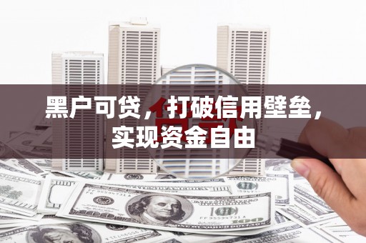 龙文黑户可贷，打破信用壁垒，实现资金自由
