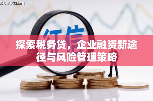 龙文探索税务贷，企业融资新途径与风险管理策略