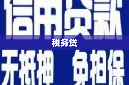 龙文税务贷
