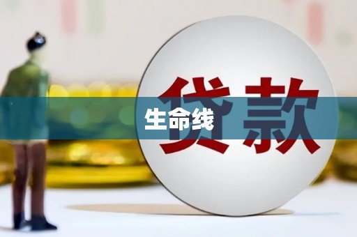 龙文生命线