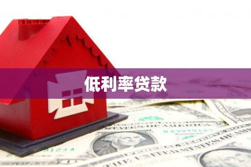 龙文低利率贷款