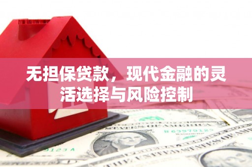 龙文无担保贷款，现代金融的灵活选择与风险控制