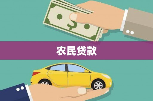龙文农民贷款