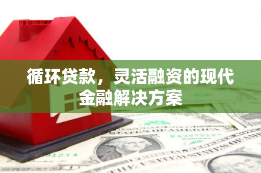 龙文循环贷款，灵活融资的现代金融解决方案