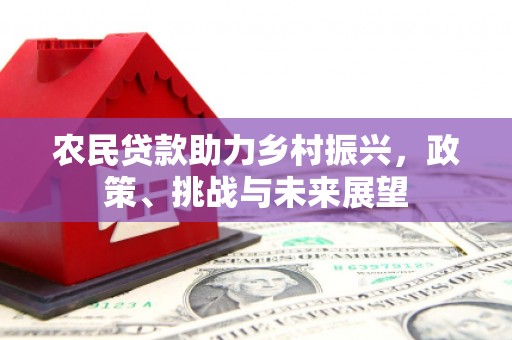 龙文农民贷款助力乡村振兴，政策、挑战与未来展望