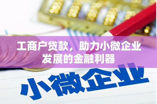 龙文工商户贷款，助力小微企业发展的金融利器