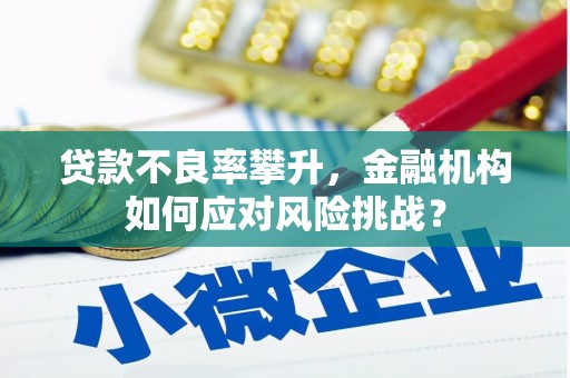 龙文贷款不良率攀升，金融机构如何应对风险挑战？