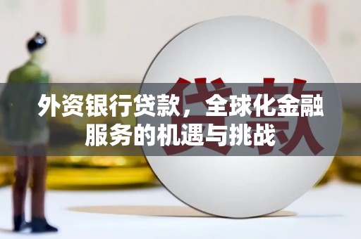 龙文外资银行贷款，全球化金融服务的机遇与挑战