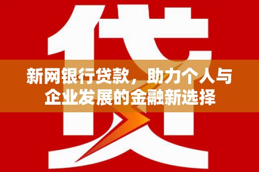 龙文新网银行贷款，助力个人与企业发展的金融新选择