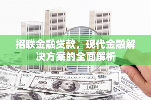 龙文招联金融贷款，现代金融解决方案的全面解析