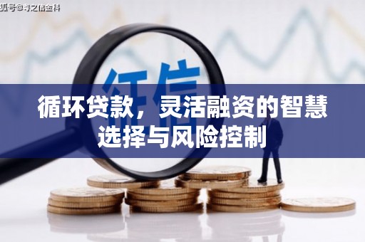 龙文循环贷款，灵活融资的智慧选择与风险控制
