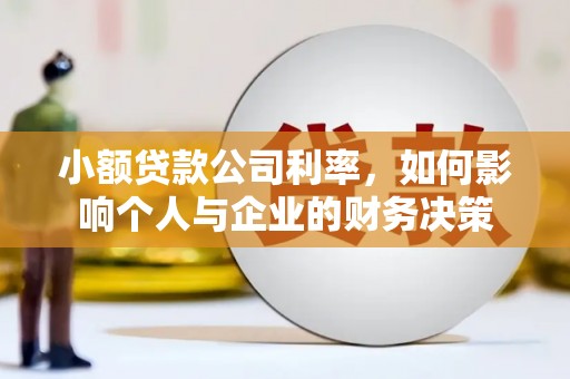龙文小额贷款公司利率，如何影响个人与企业的财务决策