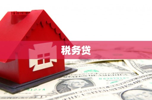 龙文税务贷