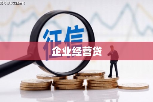 龙文企业经营贷