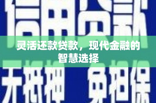龙文灵活还款贷款，现代金融的智慧选择