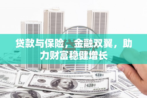 龙文贷款与保险，金融双翼，助力财富稳健增长