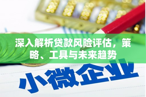 龙文深入解析贷款风险评估，策略、工具与未来趋势