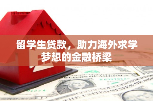 龙文留学生贷款，助力海外求学梦想的金融桥梁