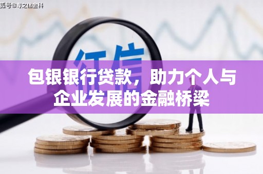 龙文包银银行贷款，助力个人与企业发展的金融桥梁