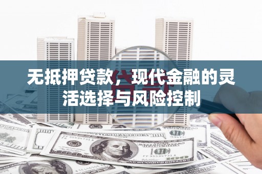 龙文无抵押贷款，现代金融的灵活选择与风险控制