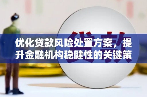 龙文优化贷款风险处置方案，提升金融机构稳健性的关键策略