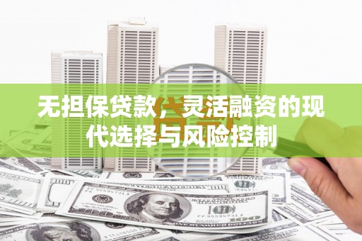 龙文无担保贷款，灵活融资的现代选择与风险控制