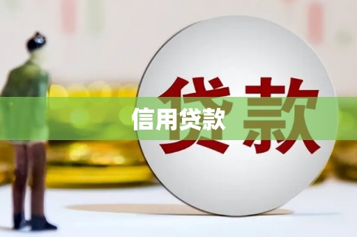 龙文信用贷款