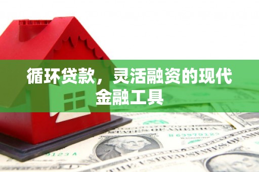 龙文循环贷款，灵活融资的现代金融工具