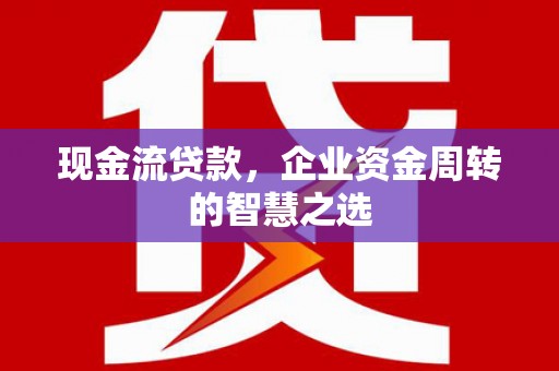 龙文现金流贷款，企业资金周转的智慧之选