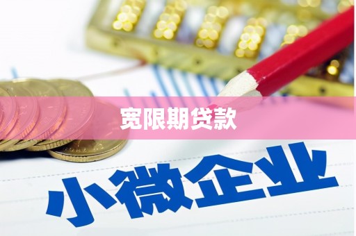 龙文宽限期贷款