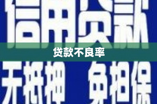 龙文贷款不良率