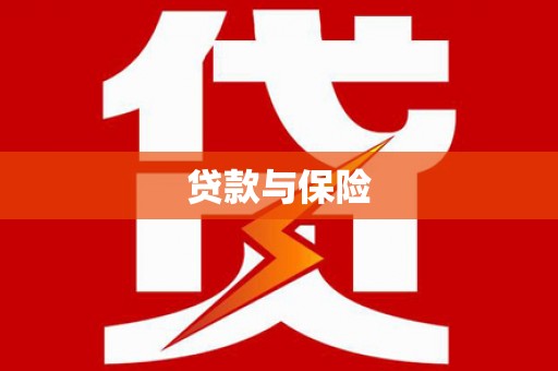 龙文贷款与保险