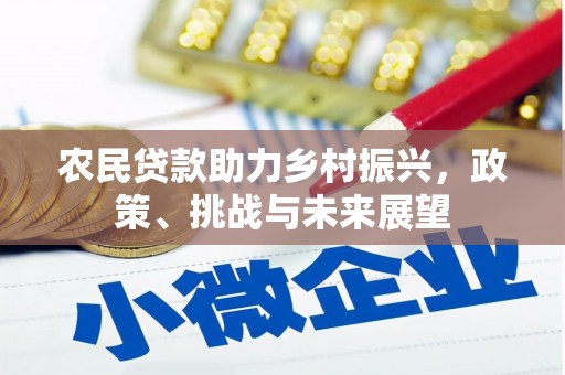 龙文农民贷款助力乡村振兴，政策、挑战与未来展望