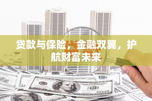 龙文贷款与保险，金融双翼，护航财富未来