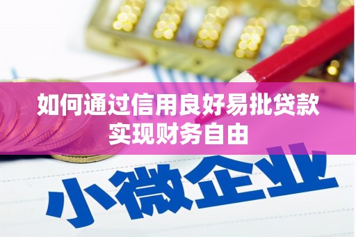 龙文如何通过信用良好易批贷款实现财务自由