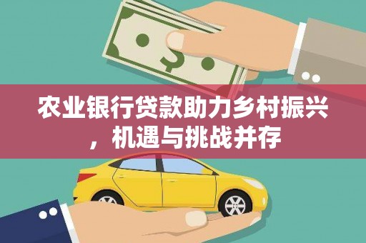 龙文农业银行贷款助力乡村振兴，机遇与挑战并存
