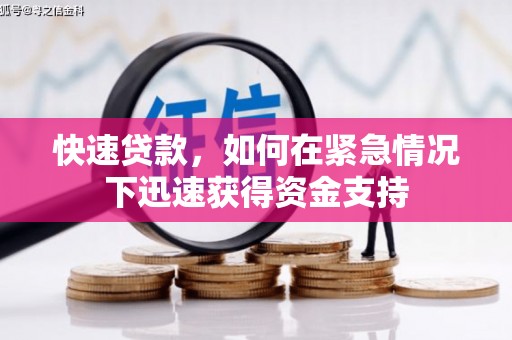 龙文快速贷款，如何在紧急情况下迅速获得资金支持