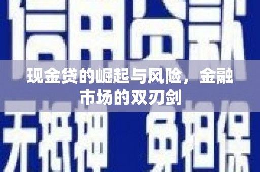 龙文现金贷的崛起与风险，金融市场的双刃剑