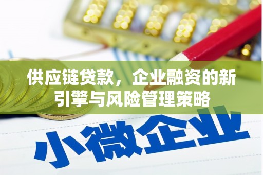 龙文供应链贷款，企业融资的新引擎与风险管理策略