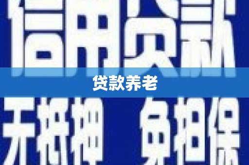 龙文贷款养老