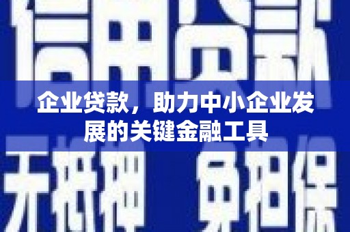 龙文企业贷款，助力中小企业发展的关键金融工具