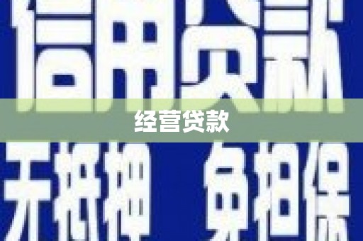 龙文经营贷款