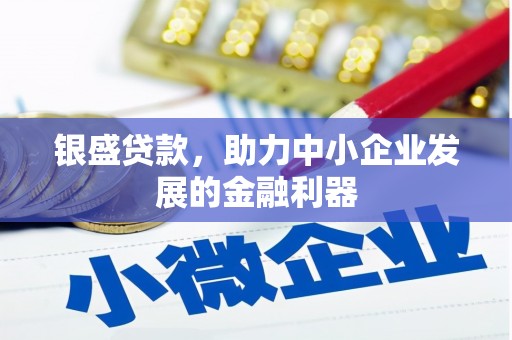 龙文银盛贷款，助力中小企业发展的金融利器