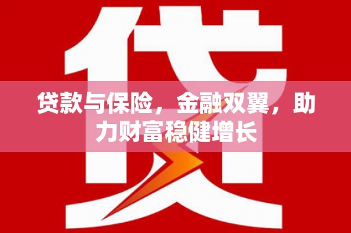 龙文贷款与保险，金融双翼，助力财富稳健增长