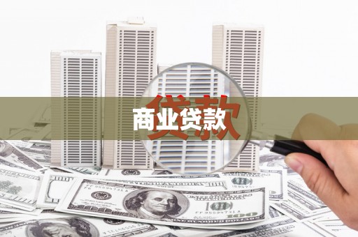 龙文商业贷款