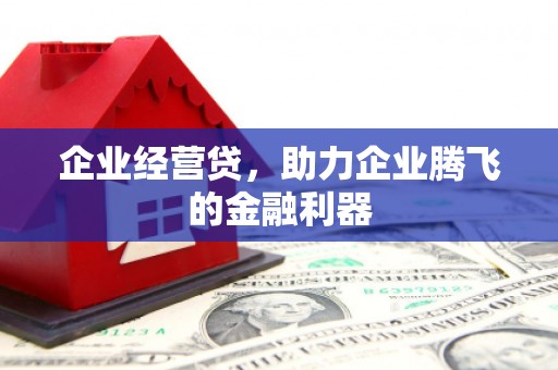 龙文企业经营贷，助力企业腾飞的金融利器